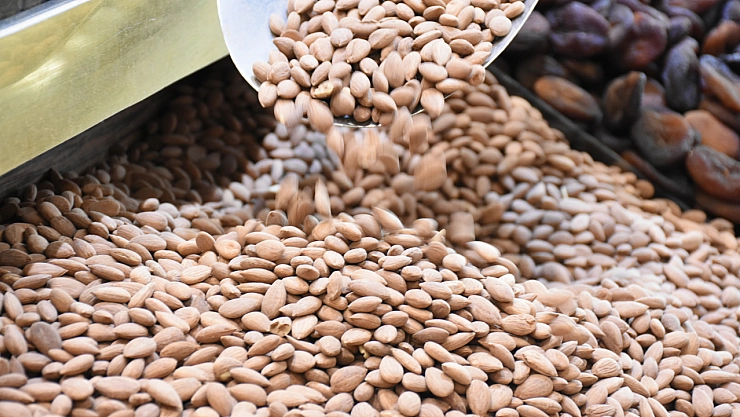 Kayısı çekirdeğinden 14 milyon 677 bin dolar gelir