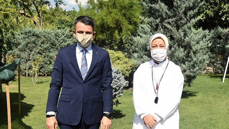 Kayısı değerini bulacak