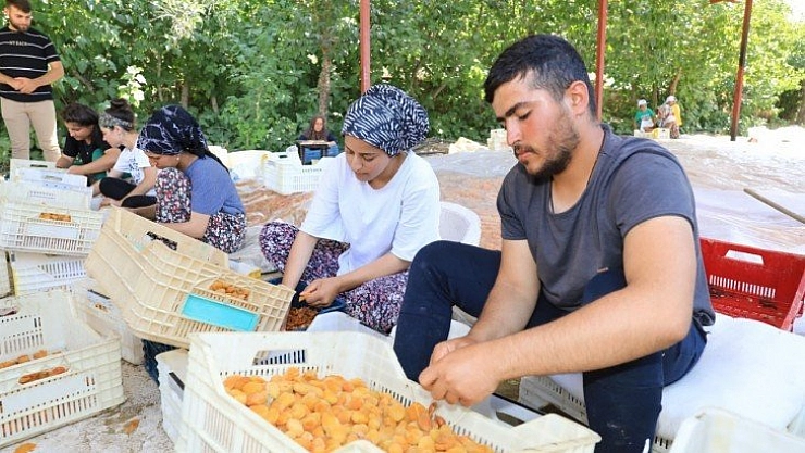 Bayram sonrası yoğun mesai