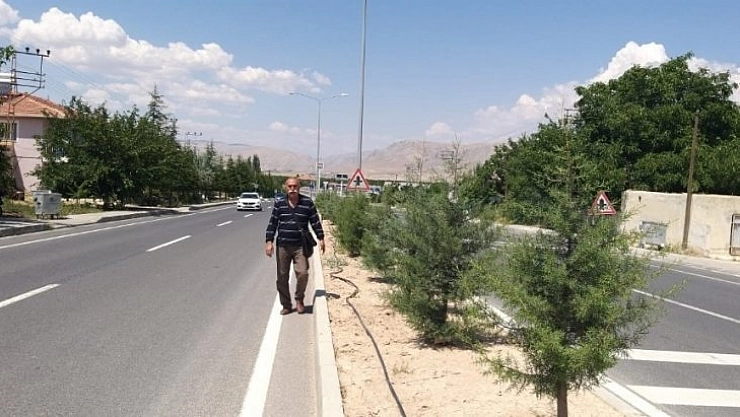 Kayısı için yola çıktı