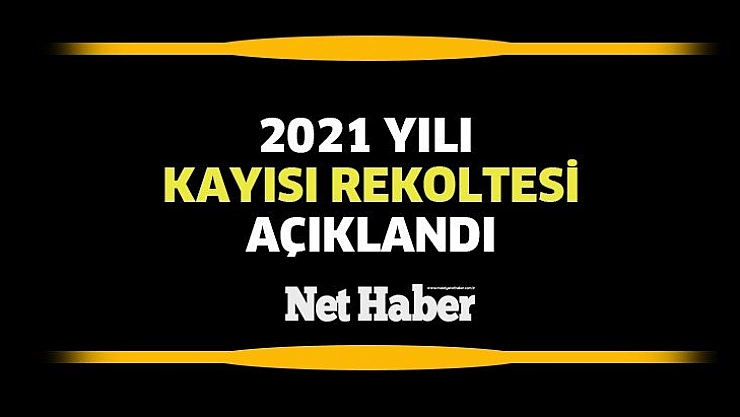 Kayısı rekoltesi açıklandı
