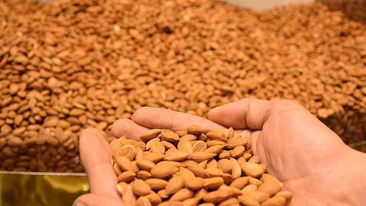 Kayısı çekirdeğinden 17,6 milyon dolar gelir