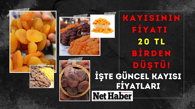 Kayısının fiyatı 20 TL birden düştü! İşte güncel kayısı fiyatları