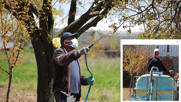 Kayısısı yanan Malatyalıların feryadı: 'Ne sigortamız var ne de gelirimiz!'