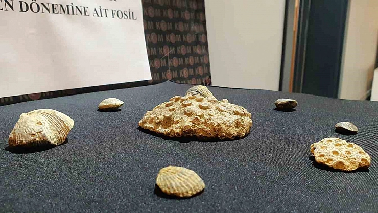 10 milyon yıllık fosil ele geçirdi