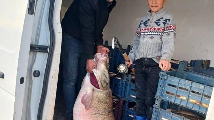 Keban Barajı'nda 72 kilogramlık Turna balığı yakalandı