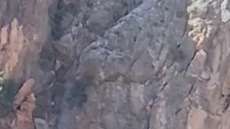 Keçiler Kurtarılmayı Bekliyor!