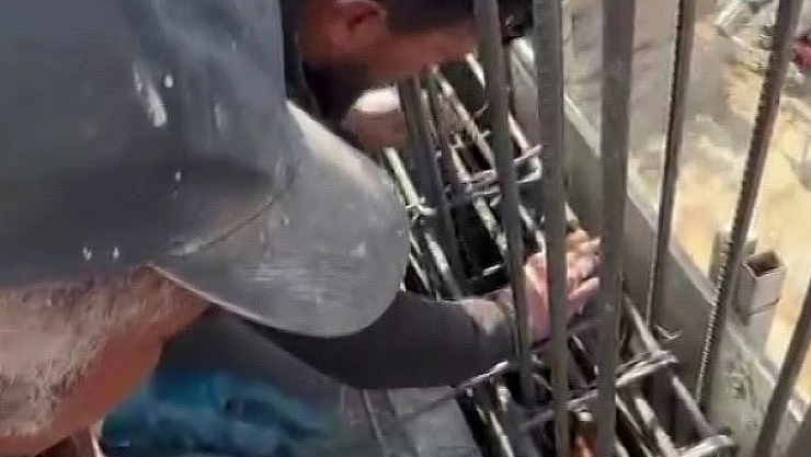 Kedi, dökülen betonun altında kalmaktan son anda kurtarıldı