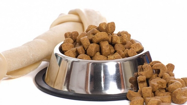 Kedi ve köpek maması alınacak