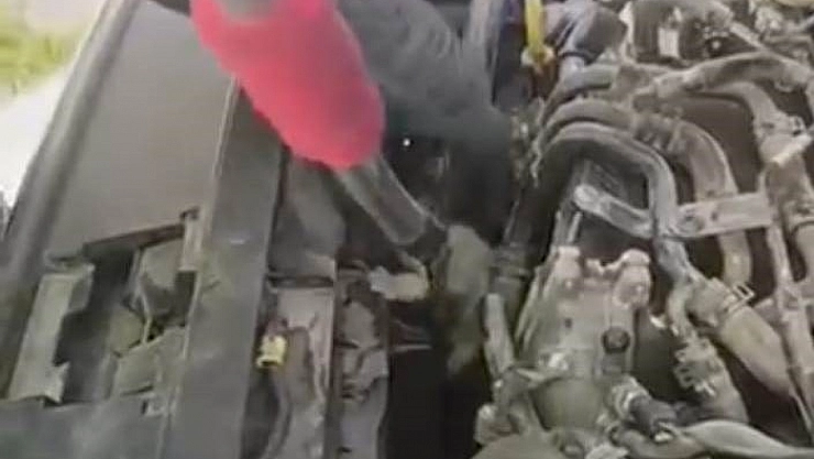 Kedinin yeni doğum yaptığı yavrular kurtarıldı