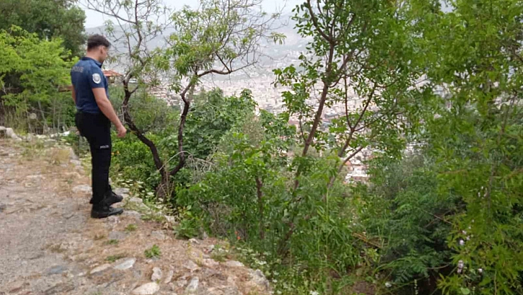 Kekik toplarken yüksekten düşen adam yaralandı