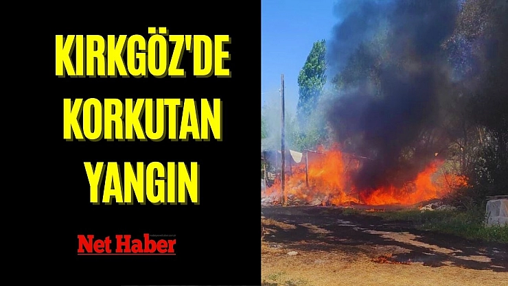 Kırkgöz'de korkutan yangın