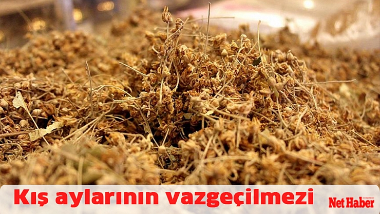 Kış aylarının vazgeçilmezi