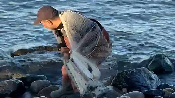 Kıyıya vuran balıkları saçma ağla yakaladı