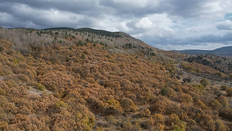 Kızılcahamam'da renk cümbüşü yaşanıyor