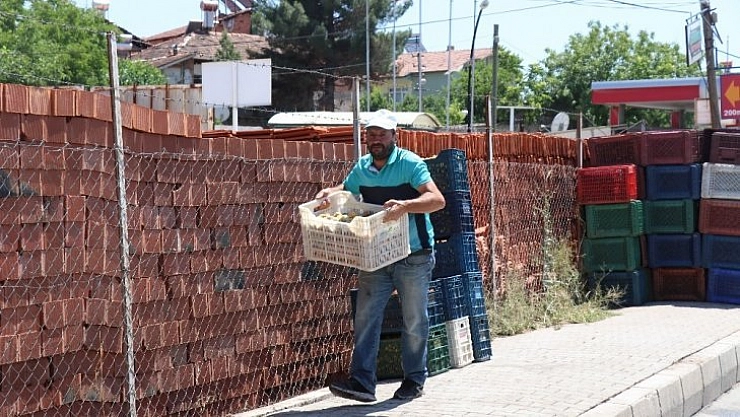 Kayısıda fiyat 90 kuruş oldu