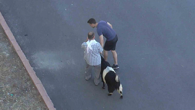 Mahalleli firari kurbanı yakalamaya çalıştı!