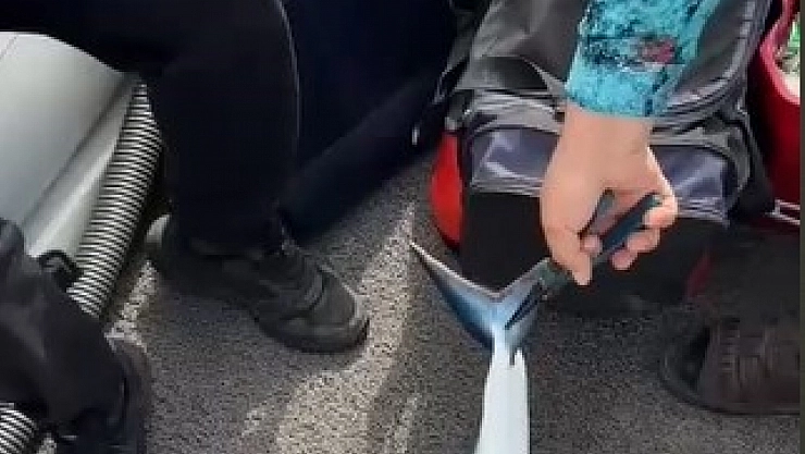 Köpek balığı yavrusunu nasihat ederek denize bıraktı