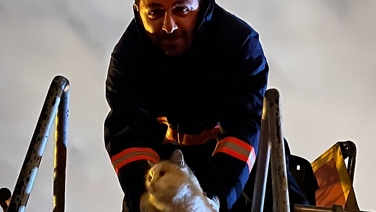 Köpekten kaçtı, direkte mahsur kaldı