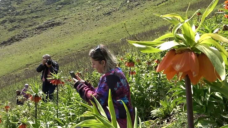 Korkudan dokunamadılar