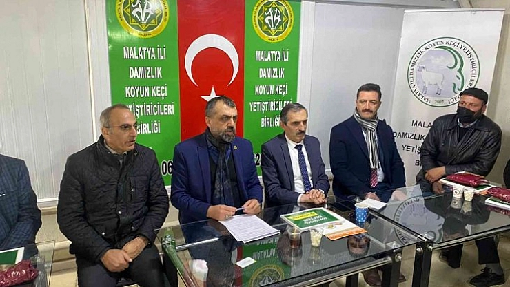 Soy kütüğü projesi