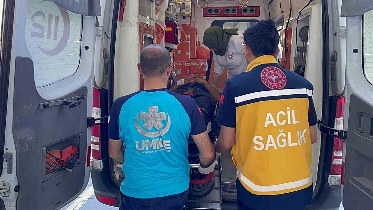 Küçükbaş kurbanlık yüklü tır devrildi