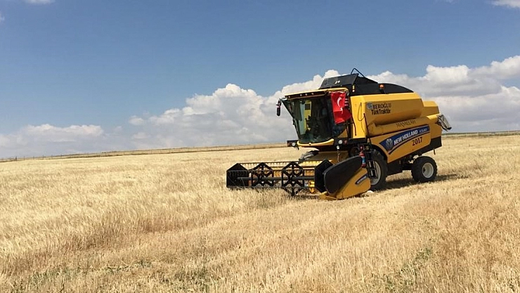 Kulu'da tarım alanlarında hasat başladı