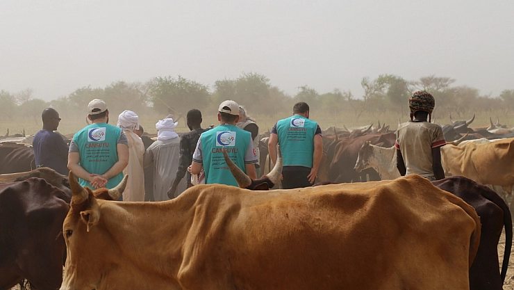 Kurban hisse bedelleri belli oldu… 16 bin TL