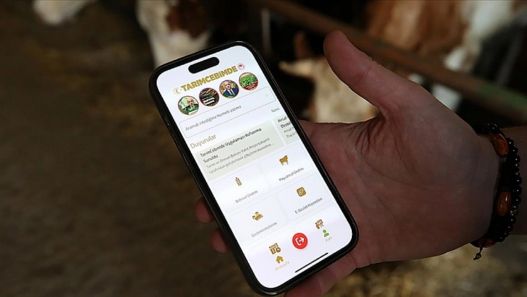 Kurbanlık almadan önce telefonunuza bu uygulamayı indirin!