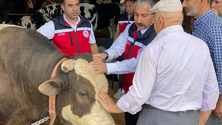 Kurbanlık hayvan satışı ve nakliyesi sıkı denetimde