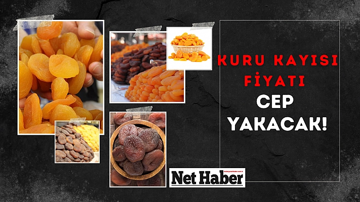 Kuru kayısı fiyatı cep yakacak! İşte 5 Aralık fiyatları