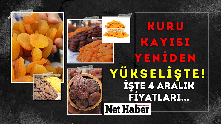 Kuru kayısı yeniden yükselişte! İşte 4 Aralık fiyatları...