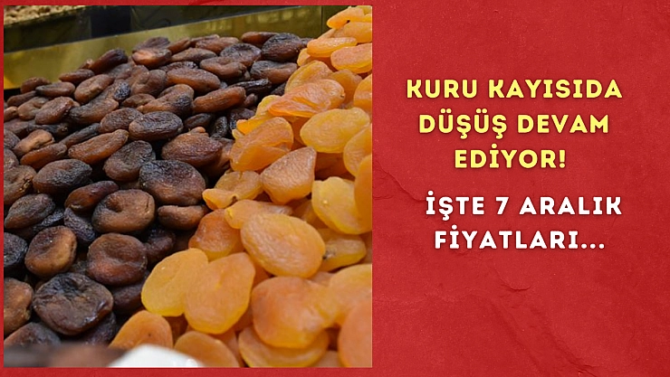 Kuru kayısıda düşüş devam ediyor! İşte 7 Aralık fiyatları...