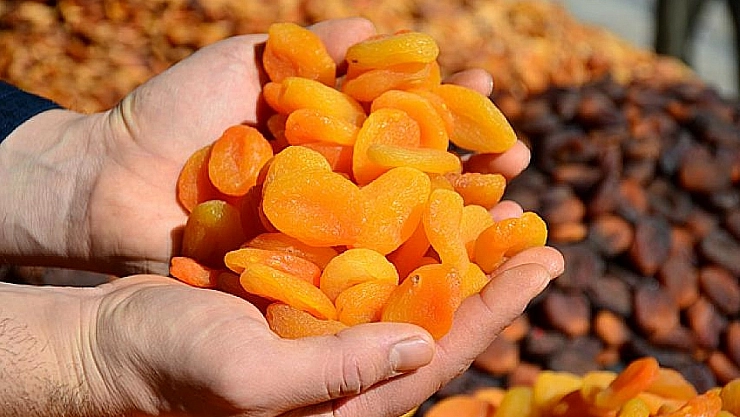 Kuru kayısıya soğuk duş: Malatya'nın altını eridi | 186 milyon dolardan 151 milyona düştü