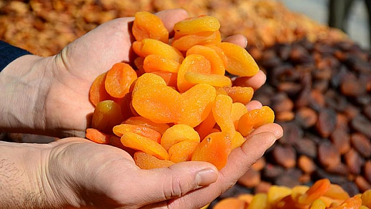 Kuru kayısı ihracatı arttı