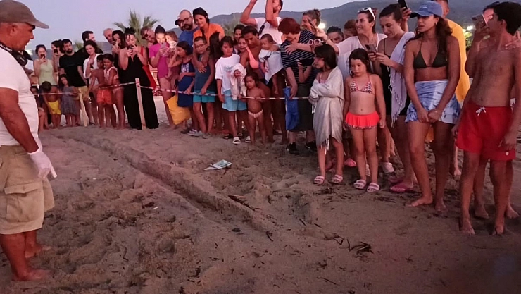 Kuşadası'nda koruma altındaki yuvadan ilk yavrular denize ulaştı
