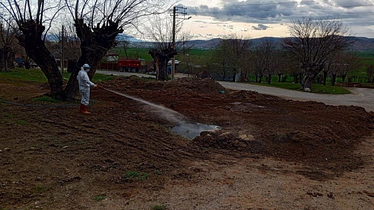 Larva ve haşerelere karşı ilaçlama seferberliği