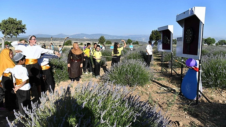 Lavanta festivali başladı