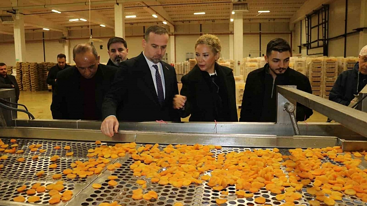 Kalifiye Eleman Yetersizliği Malatya'nın Büyümesini Engelliyor...