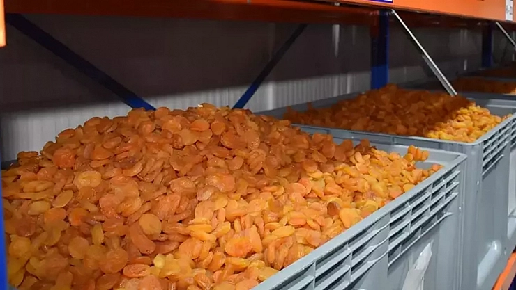 Malatya Artık Sadece Kayısı İle Anılmayacak!