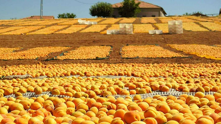 Malatya birinciliği getirdi!