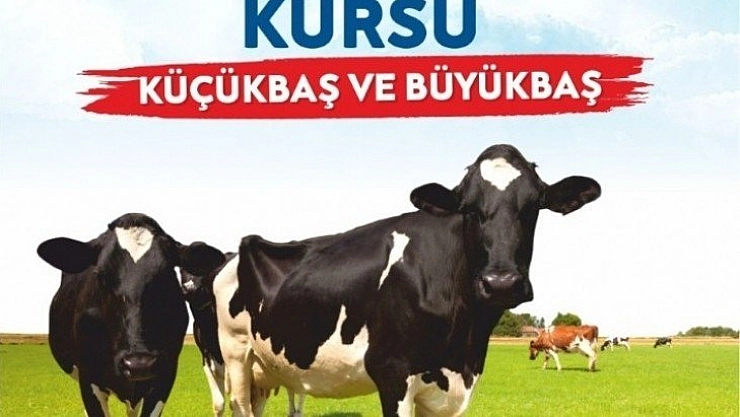 Kurban kesim kursu