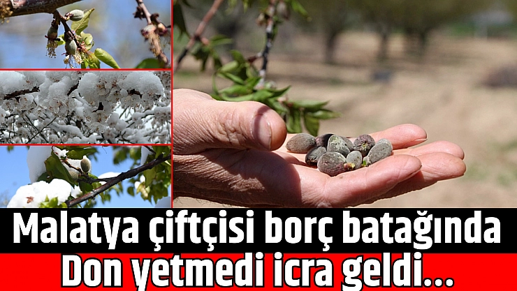 Malatya çiftçisi borç batağında: Don yetmedi icra geldi…