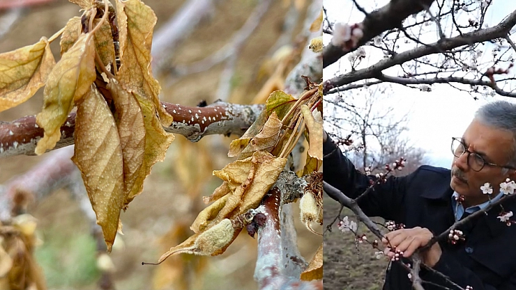 Malatya 2 don olayını aynı anda yaşadı...