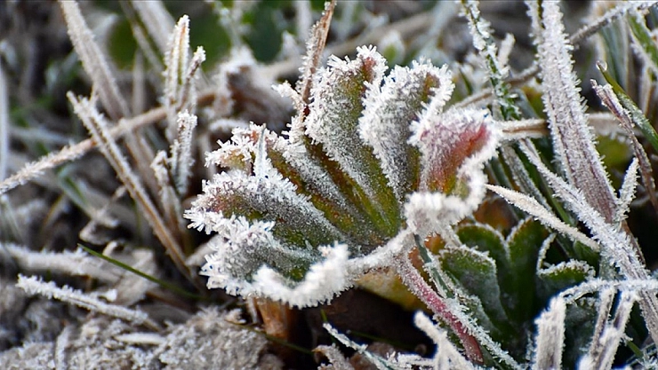 Malatya'da 22 Kasım'da hava nasıl olacak? Yağış ve rüzgar uyarısı var mı?