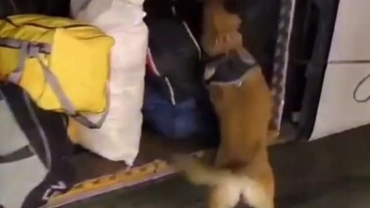 Malatya'da uyuşturucuya darbe!