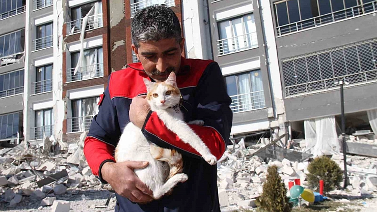 Mahsur kalan kedi kurtarıldı