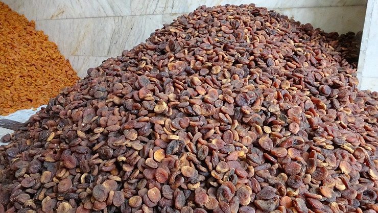 Piyasada kuru kayısı belirsizlikle karşı karşıya kaldı... 'Gün kurusu 500-650 TL'