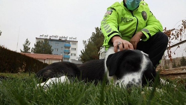Polis sahip çıktı