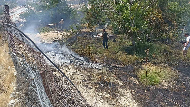 Malatya'da aniden başlayan ot yangını kayısı bahçelerine sıçradı